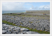 Inis Mh�r, The Aran Islands, County Galway