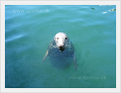 Kilmore Quay, County Wexford
