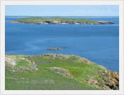 Great Saltee Island, County Wexford