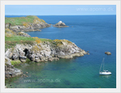 Great Saltee Island, County Wexford