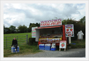 Strawberry stand in County Wexford